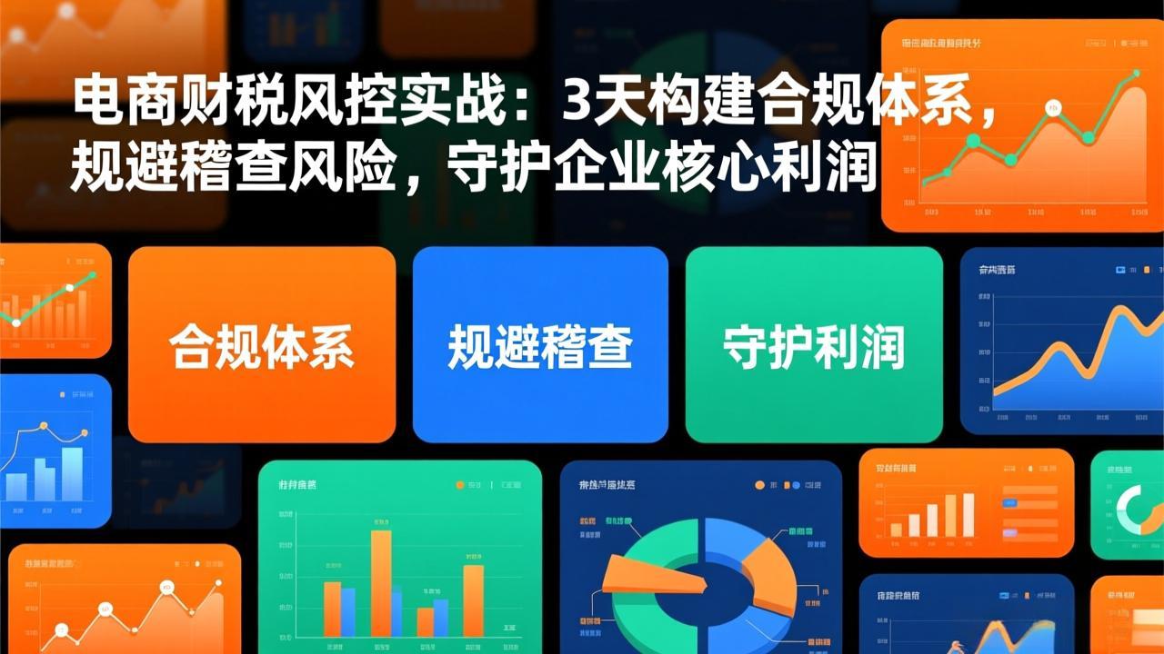 电商财税风控实战：3天构建合规体系，规避稽查风险，守护企业核心利润-冒泡网