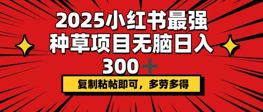 2025小红书最强种草项目，无脑日入300+，复制粘帖即可，多劳多得-冒泡网