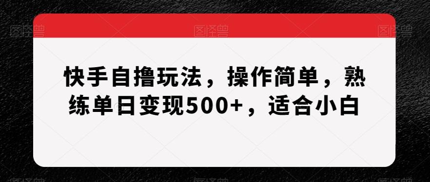 快手自撸玩法，操作简单，熟练单日变现500+，适合小白【揭秘】-冒泡网