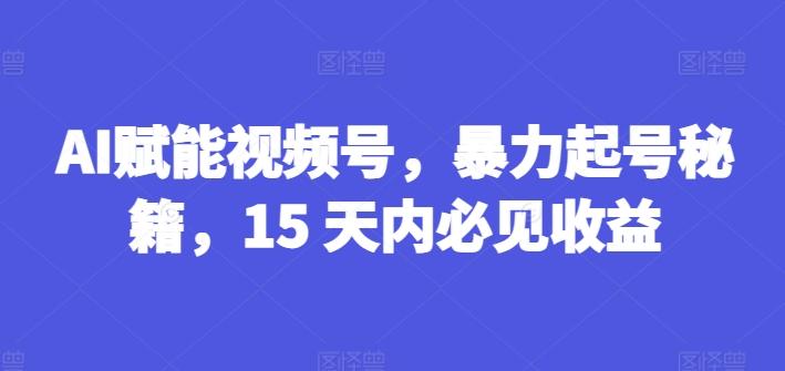 AI赋能视频号，暴力起号秘籍，15 天内必见收益【揭秘】-冒泡网