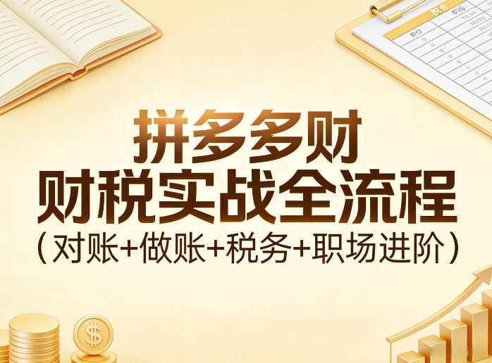 拼多多财税实战全流程(对账+做账+税务+职场进阶)-冒泡网