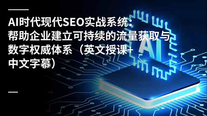 AI时代现代SEO实战系统：帮助企业建立可持续的流量获取与数字权威体系(英文授课+中文字幕-冒泡网
