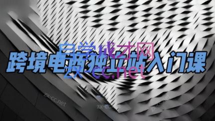 dd80f6aeb1d98cb60fddc1983988c9ce.png 团长·跨境电商独立站入门课(2小时精华)