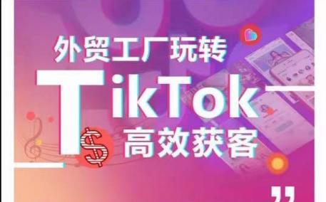 外贸工厂玩转TikTok高效获客，多种引流方式与账号定位技巧，拆解爆款短视频打造成功案例-冒泡网