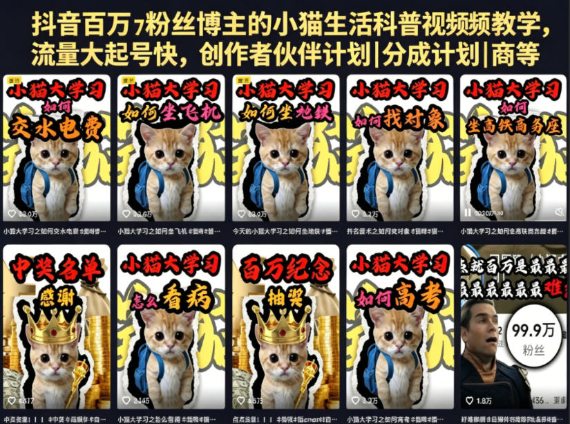 抖音百万粉丝博主的小猫生活科普视频教学，流量大起号快，创作者伙伴计划|分成计划|商单|收徒等-冒泡网
