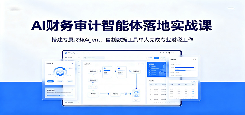 AI财务审计智能体落地实战课：搭建专属财务Agent，自制数据工具单人完成专业财税工作-冒泡网