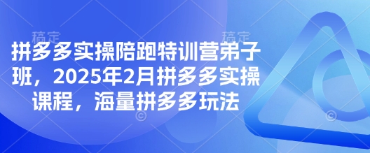 拼多多实操陪跑特训营弟子班，2025年2月拼多多实操课程，海量拼多多玩法-冒泡网