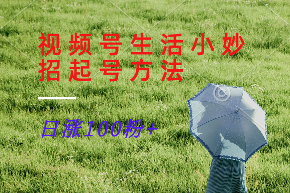 视频号生活小妙招分享赛道， 起号涨粉新方法，日涨100粉-冒泡网