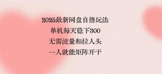 2025最新网盘自撸玩法，单机每天稳下3张，无需流量和拉人头，一个人就可轻松矩阵，全网独一份【揭秘】-冒泡网