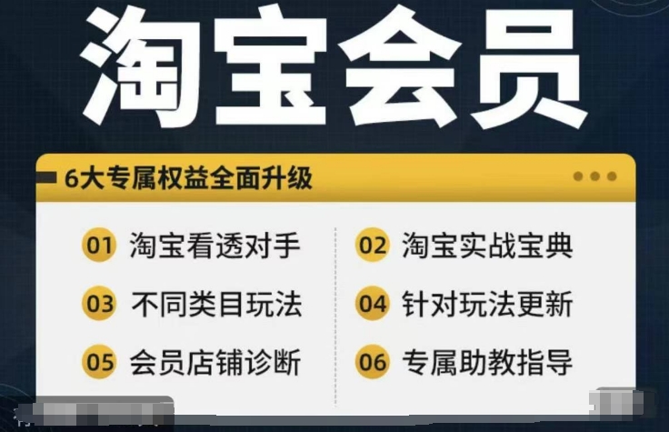 淘宝会员【淘宝所有课程，全面分析对手】，初级到高手全系实战宝典-冒泡网