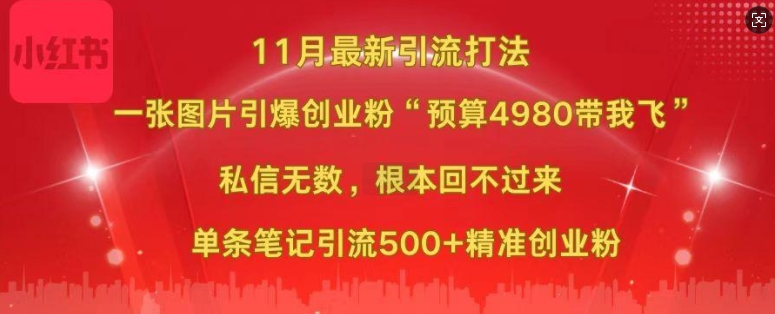 小红书11月最新图片打粉，一张图片引爆创业粉，“预算4980带我飞”，单条引流500+精准创业粉-冒泡网