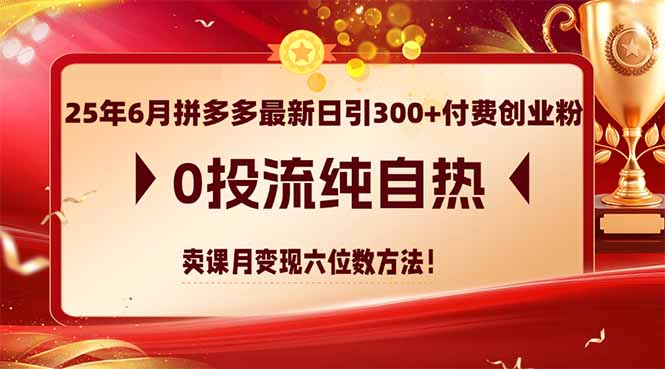 25年6月拼多多最新日引300+付费创业粉，0投流纯自热 卖课月变现六位数方法-冒泡网