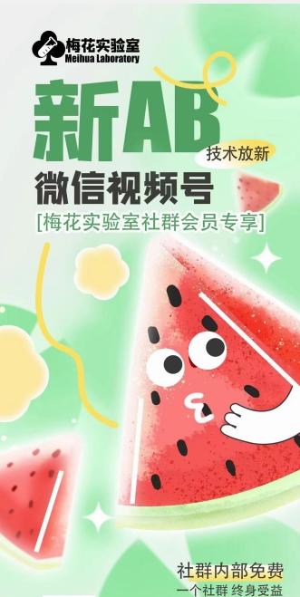 梅花实验室2024年AB技术视频号AB合成破解版-冒泡网