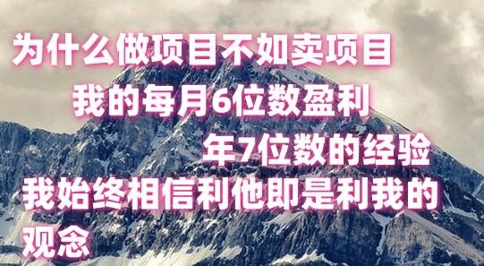 做项目不如卖项目，每月6位数盈利，年7位数经验-冒泡网