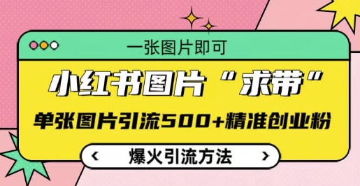 小红书图片‘求带’爆火引流法，单张图片引流500+精准创业粉【揭秘】-冒泡网