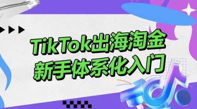 TikTok出海淘金，新手体系化入门，零基础快速入门，掌握短视频、直播带货等引流到变现的知识-冒泡网