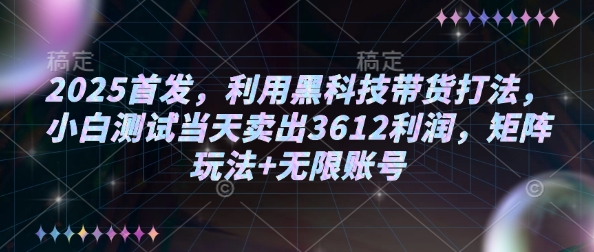 2025首发，利用黑科技带货打法，小白测试当天卖出3612利润，矩阵玩法+无限账号【揭秘】-冒泡网